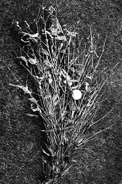 Still Life (Taipei) #39 - Taiwan