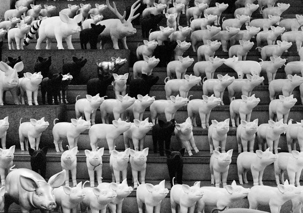 Piglets (Seoul) - Korea