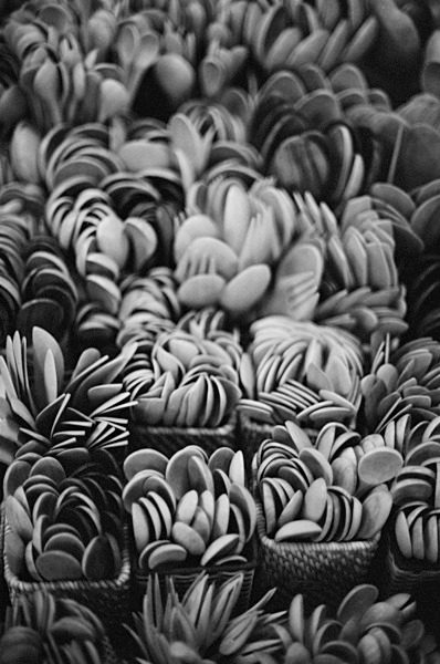 Still Life (Taipei) #34 - Taiwan