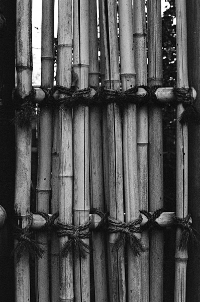Bamboo Kyoto #2 - Japan