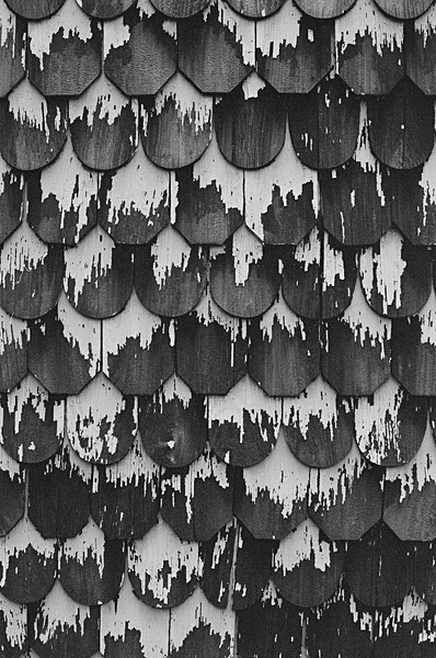 Shingles (Kent Island) #3 - Eastern Shore Maryland