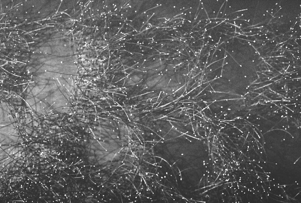 Points of Light (MOMA) - New York