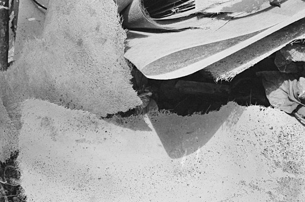 Still Life (Nagpur) #3 - India