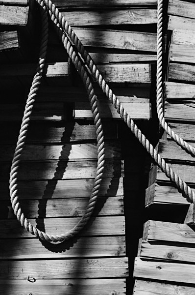 Still Life (Jeju) #10 - Korea