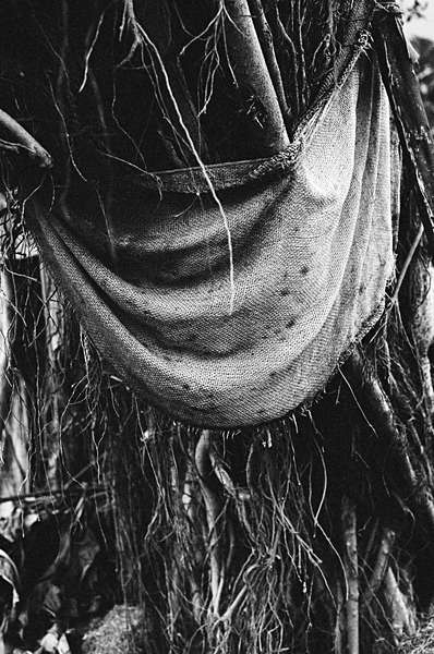 Still Life (Taipei) #13 - Taiwan