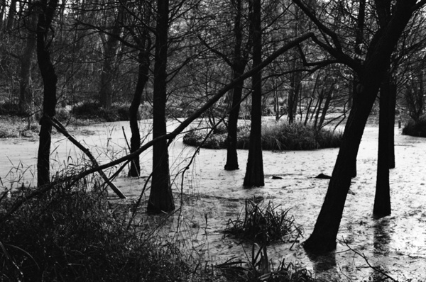 Botanical Garden (Nanjing) #14 - Nanjing