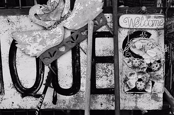 Still Life (Chestertown) #1 - Eastern Shore Maryland