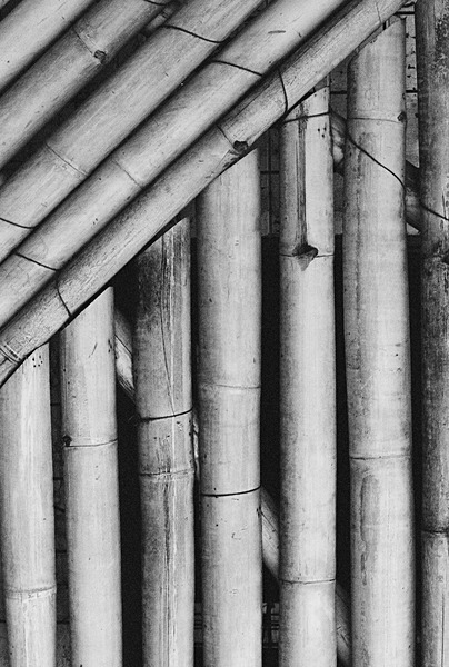 Bamboo Kyoto #1 - Japan