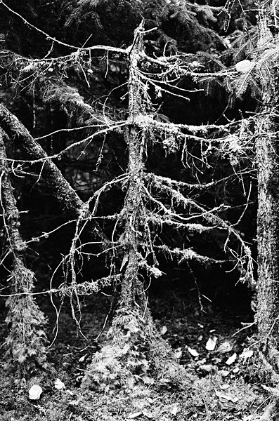 Alaska2017 #26 - Alaska