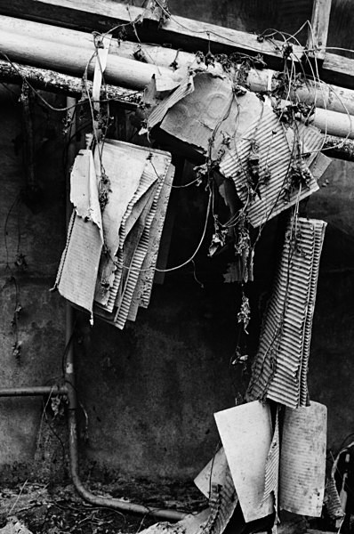 Still Life with Ladder (Hualien) #4 - Taiwan