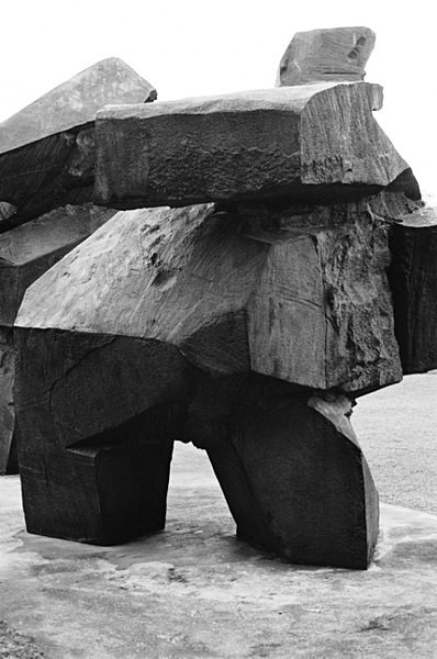 Tai Chi (JuMing) - Taiwan