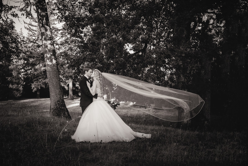  - WEDDINGS
