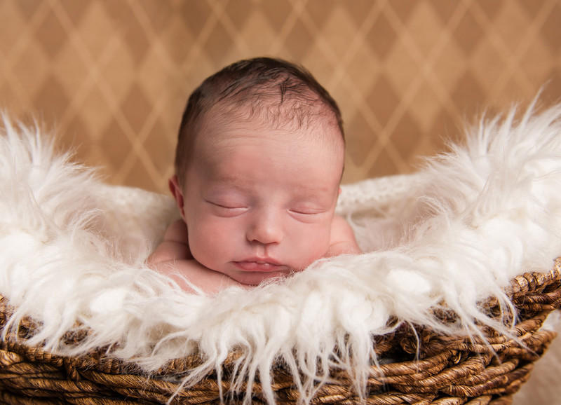  - NEWBORNS