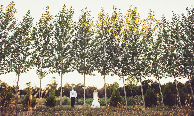  - WEDDINGS