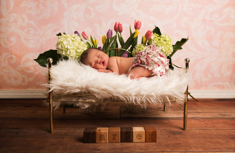  - NEWBORNS