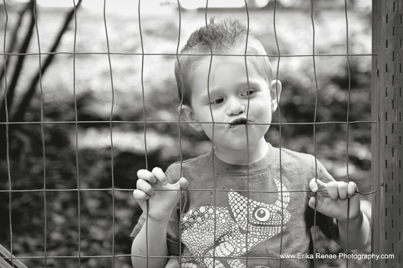  - FAMILIES AND CHILDREN