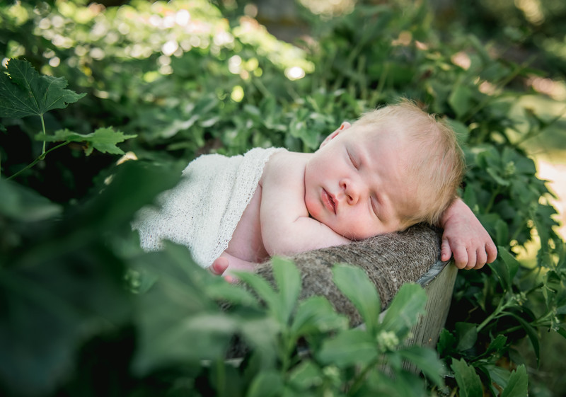  - NEWBORNS