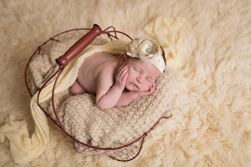  - NEWBORNS