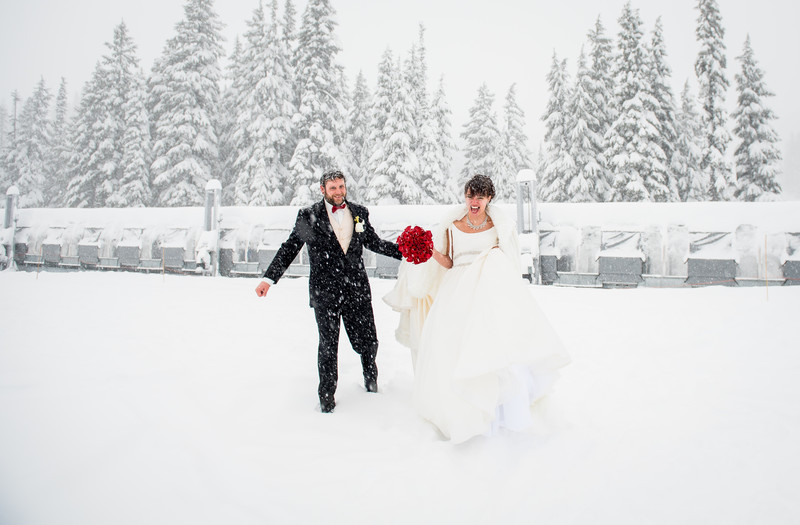  - WEDDINGS