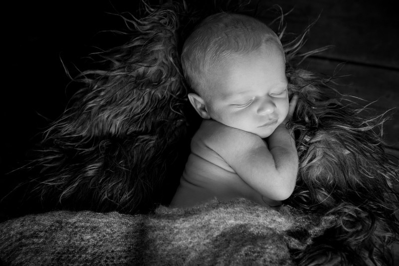  - NEWBORNS