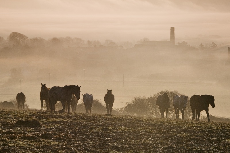 Cloyne - Landscape Ireland
