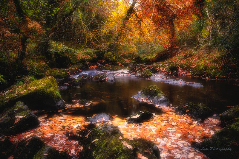Glengarriff 2 - Landscape Ireland