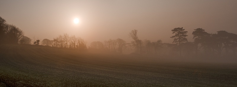 Midleton3 - Wide Format