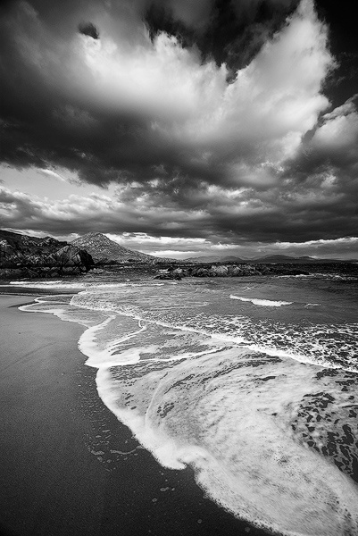 Kerry, black and white
