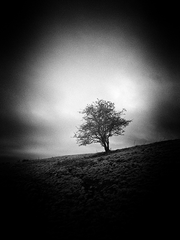 20 04-1250014-2 - Infrared
