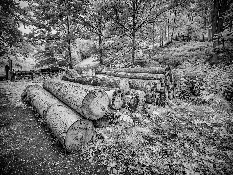 20 11-6200020 - Infrared