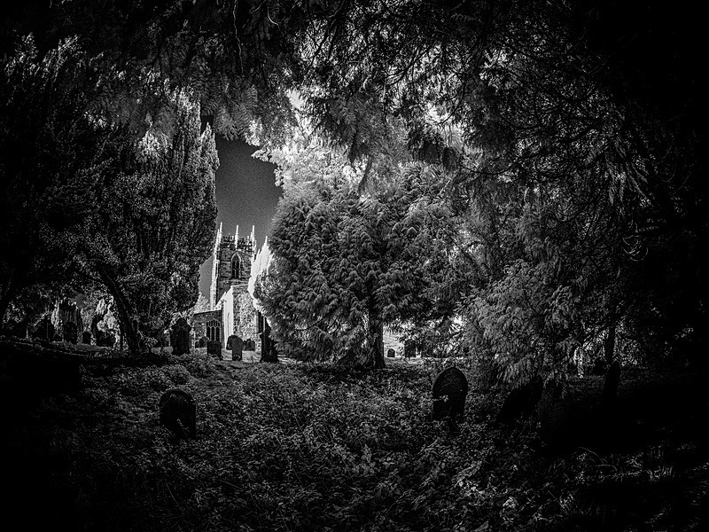 20 25-130010 - Infrared
