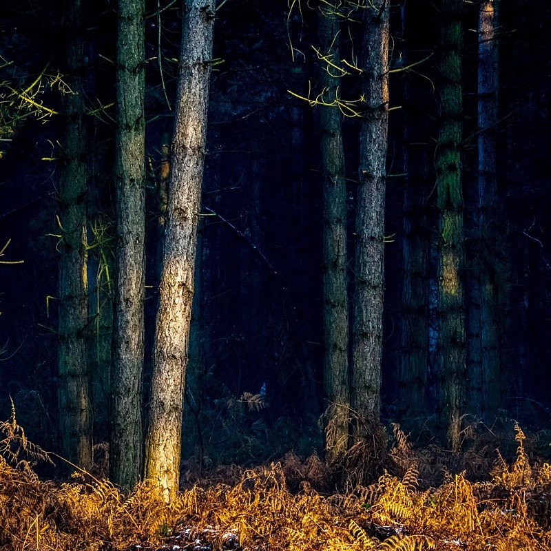 19 03-2 - Landscapes