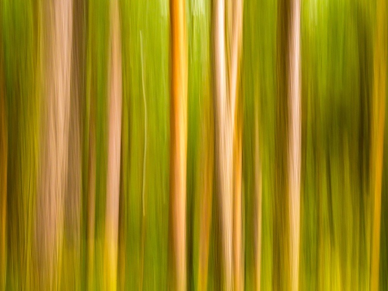 18 36-140 - Abstract