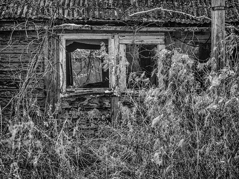 19 10-3010011-2 - Infrared