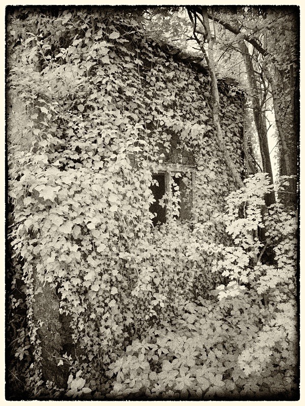 20 12-7040159-2 - Infrared
