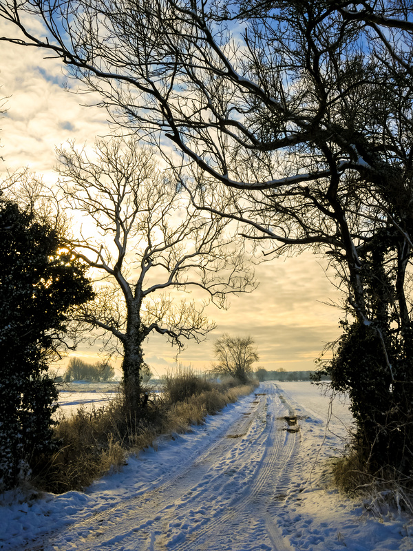 09 41 009 - Landscapes