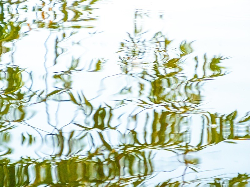 21 50P9200113 - Abstract
