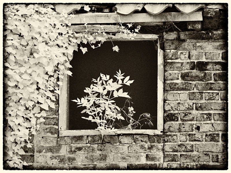 20 12-7040151-2 - Infrared