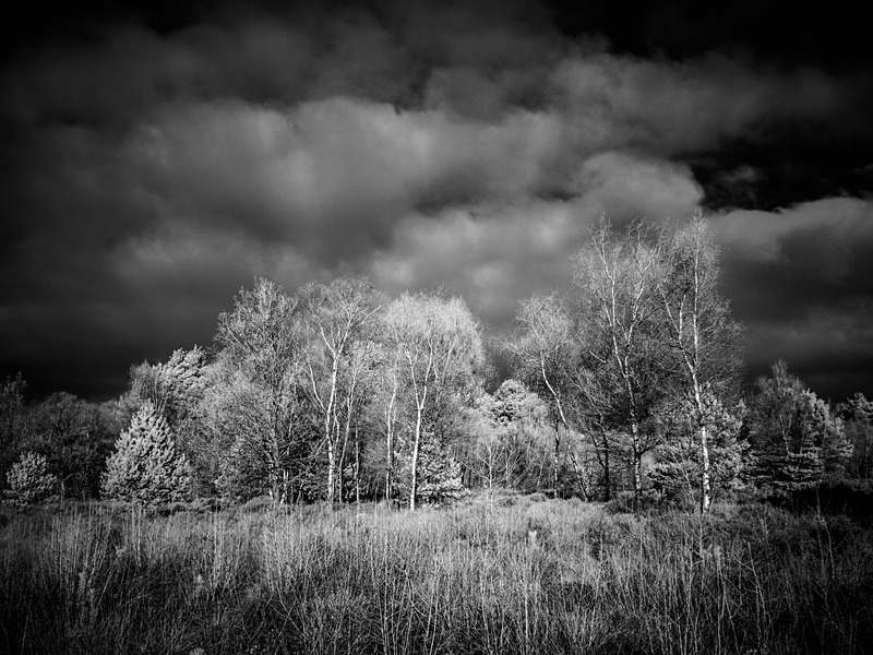 23 01-1200065 - Infrared