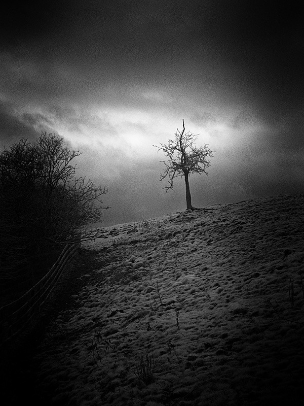20 04-1250058 - Infrared