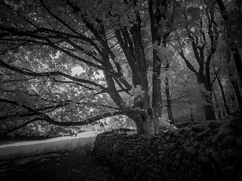 19 28-7040233 - Infrared