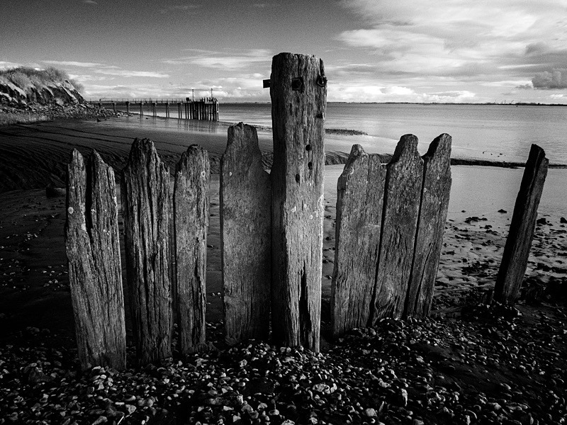 19 43-290021 - Infrared