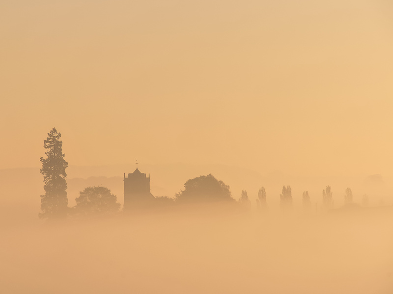 11 42-1 - Landscapes