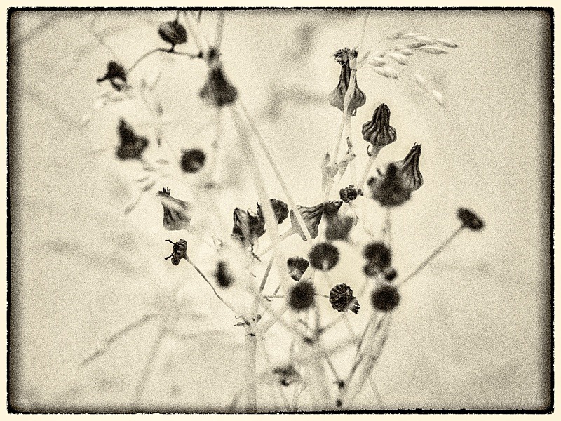 20 12-7040299 - Infrared