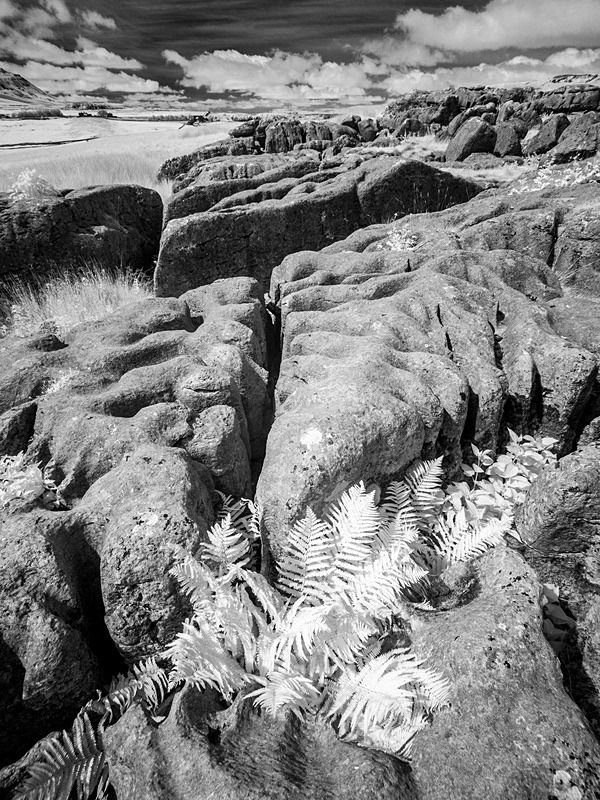 19 28-7040103 - Infrared
