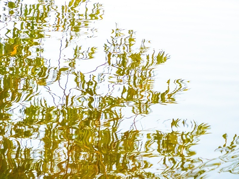 21 50P9200108 - Abstract