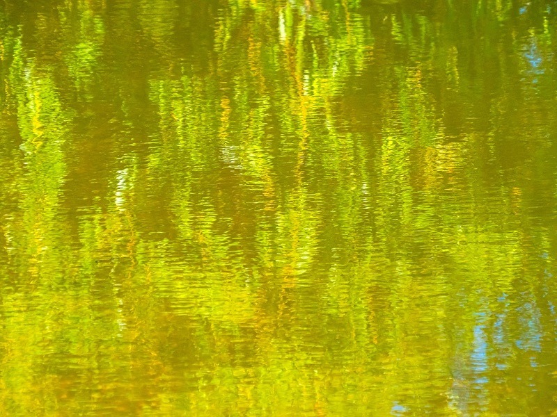 21 50P9200070 - Abstract