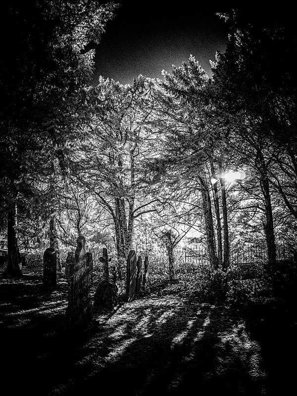 20 25-130035 - Infrared