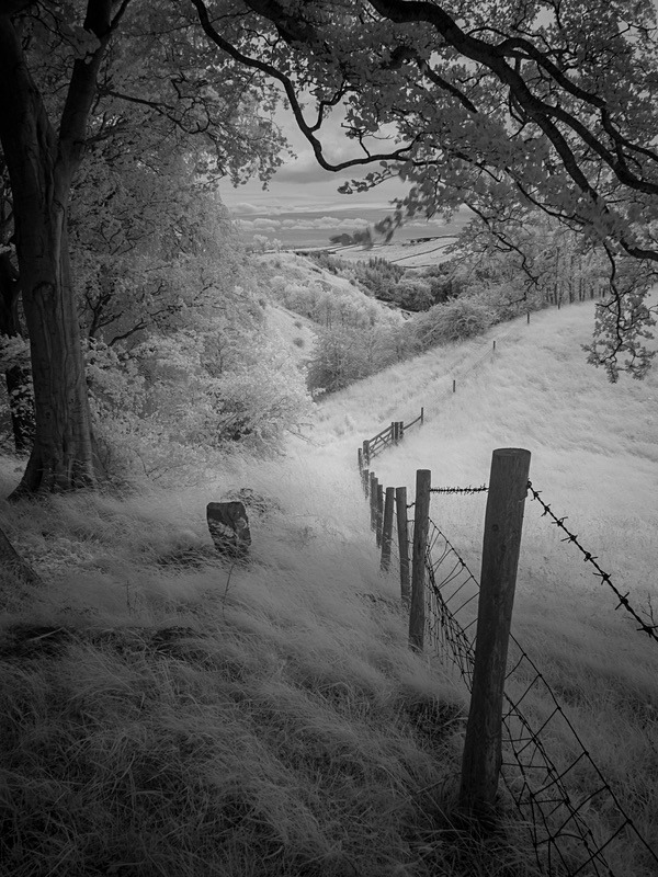 19 28-7040350 - Infrared