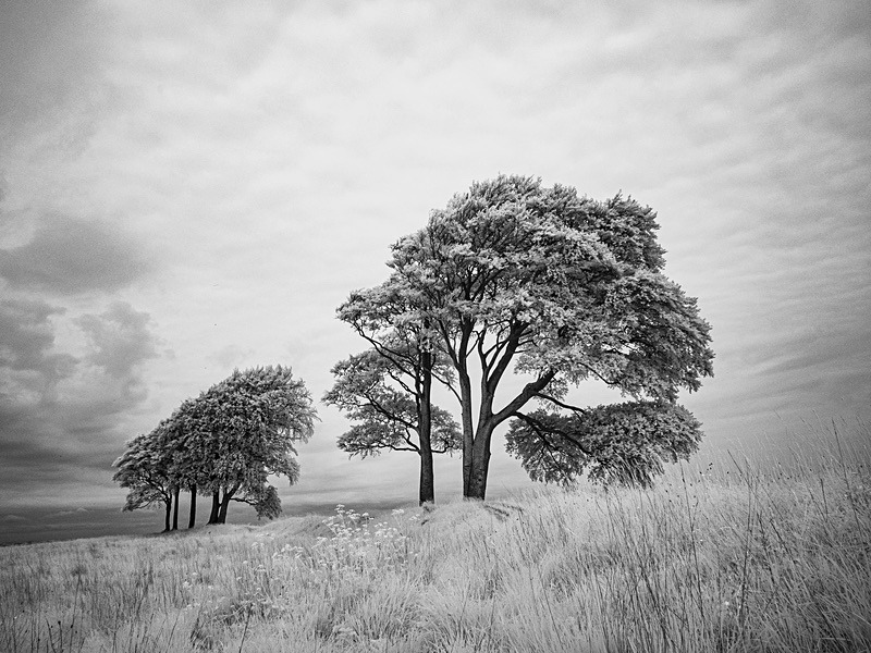 23 15-5230164 - Infrared